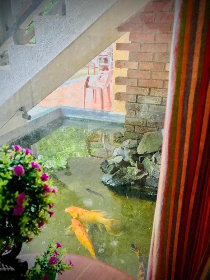 Dandelion - Unawatuna Zewnętrze zdjęcie